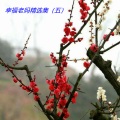 幸福老妈 - 抹去泪水