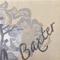 Matt Baxter - A Lifetime Ain't So Long