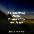 Relax Meditation Sleep、Serenity Spa Music Relaxation、White Noise Sound Garden - Relaxing Scene
