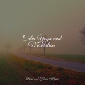 Relaxing Mindfulness Meditation Relaxation Maestro、Entspannungsmusik、Reiki Music - Melodious Mantra