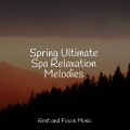 White Noise Baby Sleep、Mindfulness Mediation World、Studying Music - Warm Sunlight
