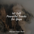 Sounds of Nature White Noise for Mindfulness Meditation and Relaxation、Music For Absolute Sleep、Alpha Brain Waves - Guide to Nirvana
