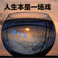 闫叶荣 - 人生本是一场戏