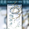 往事一杯酒【附剧情版】