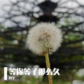 阿宇 - 等你等了那么久