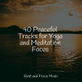 Yoga Music、Relaxing Sleep Sound、Relax Meditation Sleep - Song of the Moon