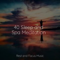 Ambient Music Therapy、Academia de Música para Massagem e Relaxamento、Spa Relaxation - Hush Baby