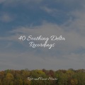 40 Soothing Delta Recordings