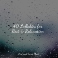 40 Lullabies for Rest & Relaxation