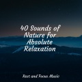 Sleepy Night Music、Tibetan Singing Bowls for Relaxation、Especialistas de Musica para Dormir - Complete Chill