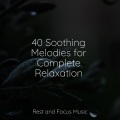 40 Soothing Melodies for Complete Relaxation