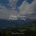Ruído branco、Massagem Coleção de Músicas、Sounds of Nature White Noise for Mindfulness Meditation and Relaxation - Rainy Day Drops