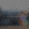 Musique Zen Garden、Sleepy Times、Study Power - Ocean Sounds