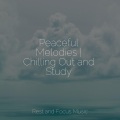 Peaceful Melodies | Chilling Out and Study
