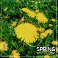 Michael Kruzh - Spring