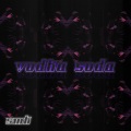 VODKA SODA (feat. Ay$ee95 emwe95 & Nnox)(Explicit)