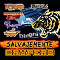 Salvajemente Grupero