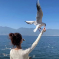 谁是谁过客