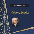 Miembros de la Philarmonica Slavonica、Karel Brazda - II. Andante