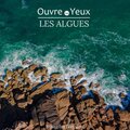 Susanna Ikebana Alvarez - Ensemble (générique de fin OLY LES ALGUES)
