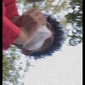 Theo Coop、Rare - KIDS (Explicit)