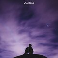 Slowheal - Last Wish