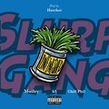 Mutley Mutt、SLURP GANG、Chill Phil、k9 Calina - Unfinished (feat. Mutley Mutt, k9 Calina & Chill Phil)(Explicit)
