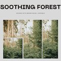 Soothing Forest Sounds with Brown Noise, Loopable
