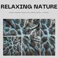 Relaxing Nature Forest Ambience Meditation (Brown Noise) , Loopable