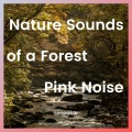 Forest Sounds Channel、Pink Noise、Mother Nature Sound FX - Flowing River Bird Calls, Pink Noise