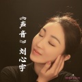 刘心宇 - 声音