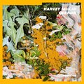 Harvey McKay - Elves Playground