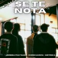 SAEK、Jorbba、chris garcia、Metrika - Se Te Nota (feat. Chris Garcia Saek & Metrika)(Remix)