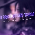 I Wanted You (Remix)