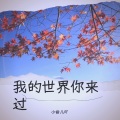 小曲儿吖 - 我的世界你来过