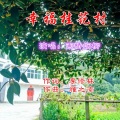 幸福桂花村