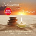 Llewellyn、Relaxation Ensemble - Muladhara Chakra