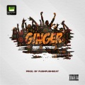 GINGER (feat. mofresh)(Radio Edit)