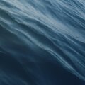 1am in the loop、Sleepyhead Collective - Waves