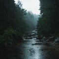 Remain Sleeping White Noise