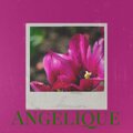 Velina - Angelique