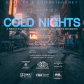 COLD NIGHTS (feat. Bypolar & David Fourth)(Explicit)