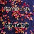 秋语荷塘 - 2《不可思议的社会性痴迷》