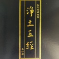 主播丁歌 - 《净土五经之佛说阿弥陀经》