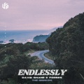 David Shane、Forbes、Luca Testa - Endlessly