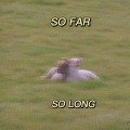 阿狗与老刘、DOGGY - So Far So Long