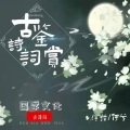 今熙何兮 - 水调歌头·明月几时有