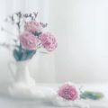 秋水潋滟 - 【睡前必听】催眠音乐-梦里苍苍烟水暮