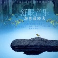泉水叮咚 - 助眠治愈 夜