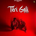 Zehr Vibe - Teri Gali